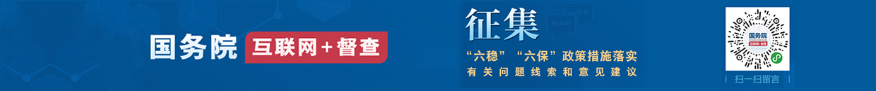 國務院互聯網+督查