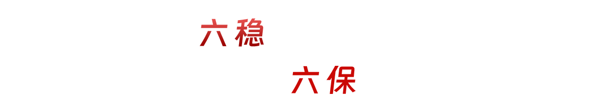 扎實做好“六穩”工作 全面落實“六保”任務